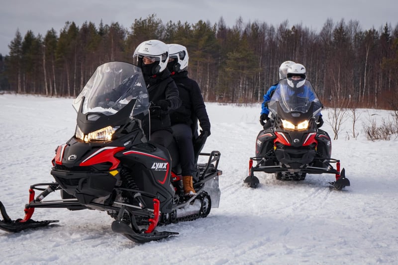 Snowmobile Safari Winter Tour and Barbecue in Rovaniemi, photo 5