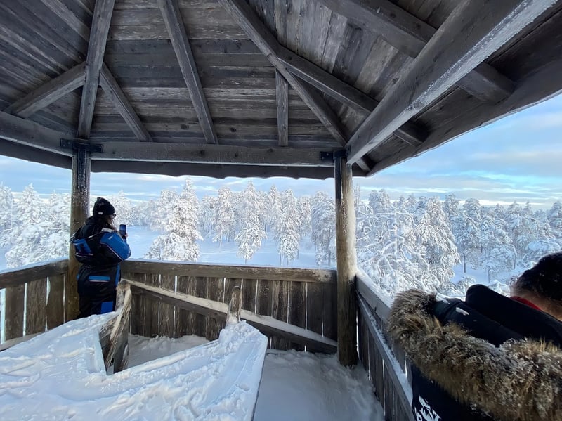 Snowshoe Adventure and Barbecue at Vikaköngäs, photo 4