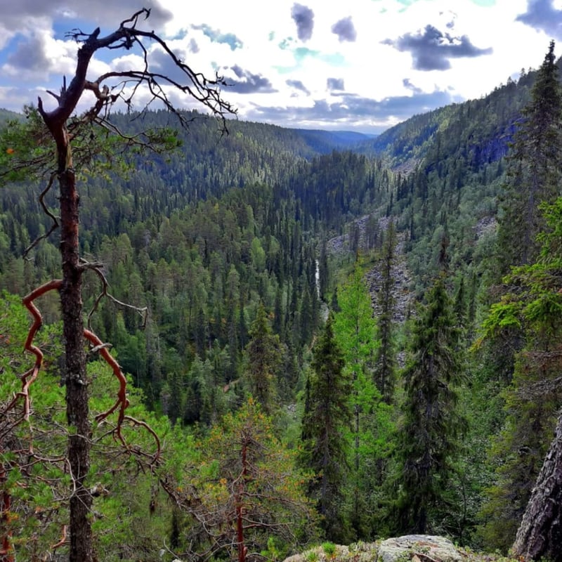 Korouoma Canyon Hike and Barbecue in Rovaniemi, photo 2
