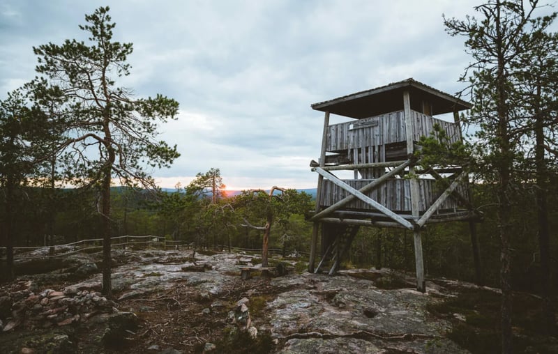 Auttiköngäs Waterfalls Hike Experience in Rovaniemi, photo 3