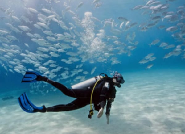 Try Scuba in Malta: Guided Open Sea Dive for Absolute Beginners gallery 3
