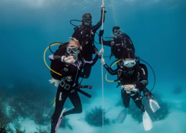 Try Scuba in Malta: Guided Open Sea Dive for Absolute Beginners gallery 2