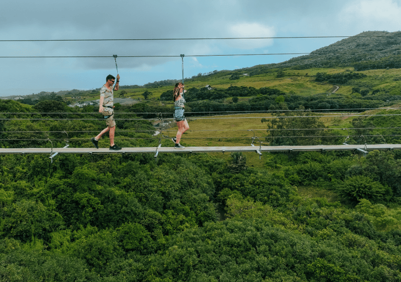 Suspended Bridge Walk at La Vallée des Couleurs, photo 2
