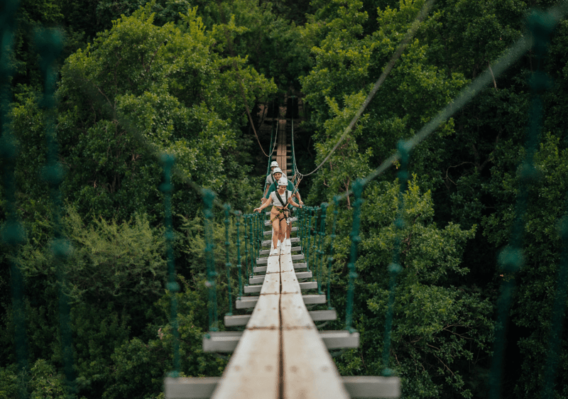 Nepalese Bridge & Zip Line Circuit at Casela Nature Park, photo 3