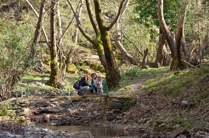 Hiking Adventure in Ikaria: The Alama Spring gallery 7