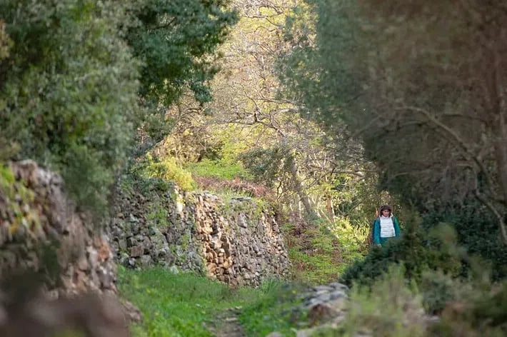 Hiking Adventure in Ikaria: The Alama Spring, photo 5