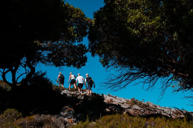Hiking and Sailing in Ikaria: Randi’s Forest with Seychelles Beach and Village Lunch, photo 3