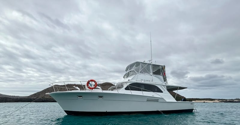 5 Day Galapagos Islands Hiking, Snorkelling and Wildlife Tour, photo 2