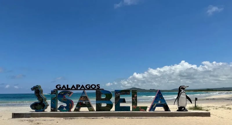 7 Day Snorkelling and Hiking Galapagos Islands Adventure gallery 8