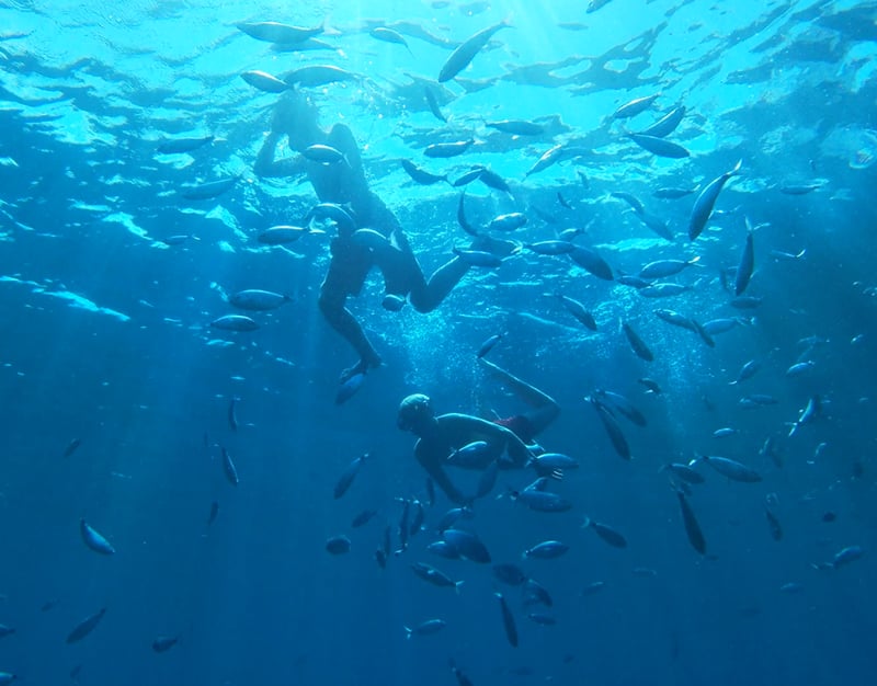 Family Boat Trip With Snorkelling in Ibiza gallery 8