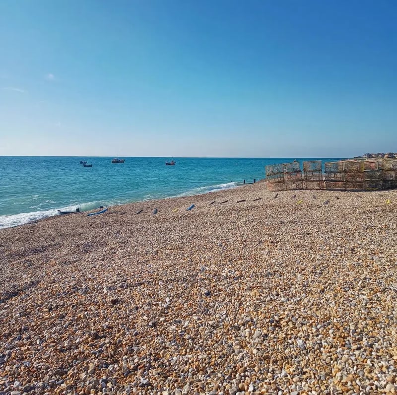 SSI Snorkel Diver Course in Selsey, West Sussex, photo 5