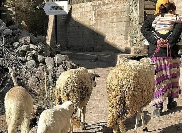 Marrakech to Atlas Mountains: Guided Day Trip with Hike gallery 3