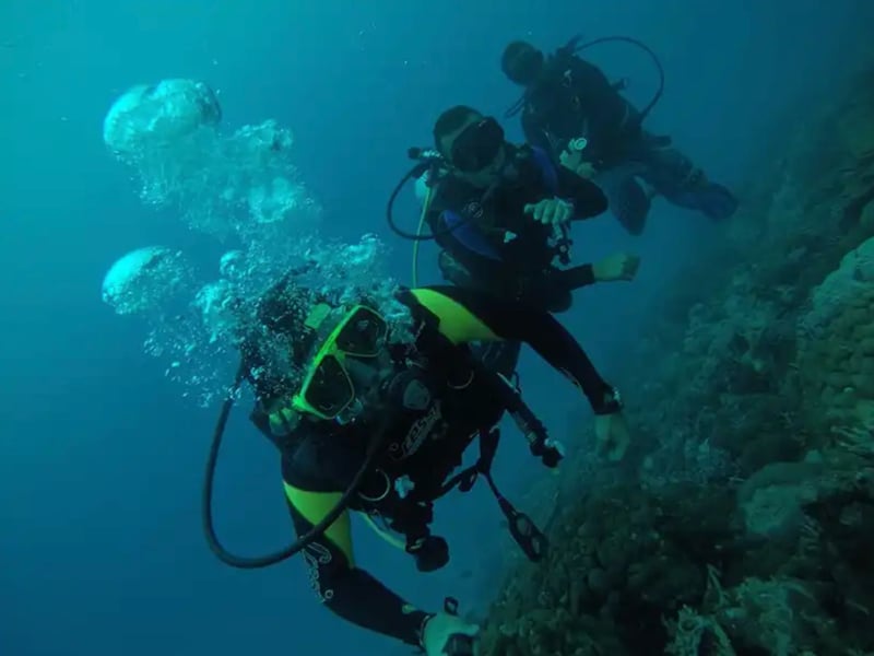 PADI Peak Performance Buoyancy Course, photo 2