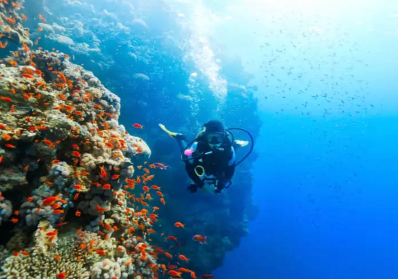 PADI Underwater Navigator Specialty Course, photo 2