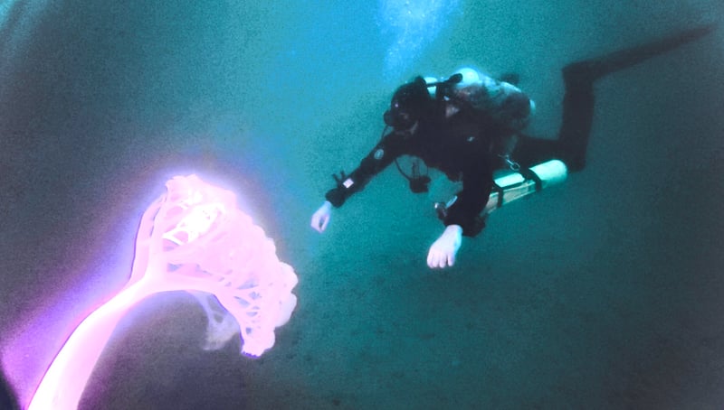 Tec 50: Extended-Range Technical Diving Programme, photo 2