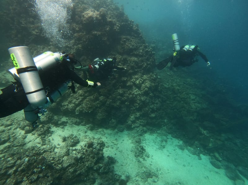 Discover Tec Diving: Introductory Technical Diving Experience, photo 4