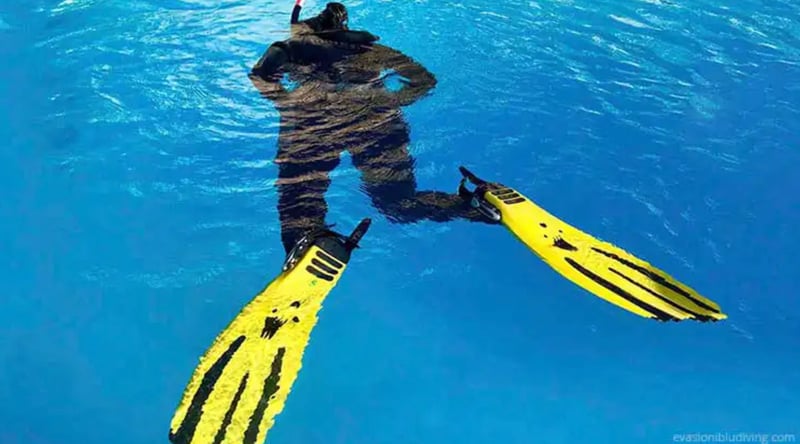 PADI Skin Diver Course (Snorkelling & Breath-Hold Skills), photo 4