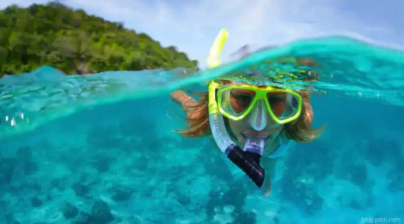 PADI Skin Diver Course (Snorkelling & Breath-Hold Skills), photo 3
