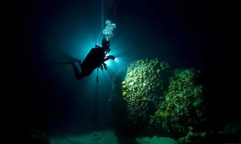 Guided Night Diving Adventure in Dibba Al Fujairah, photo 4