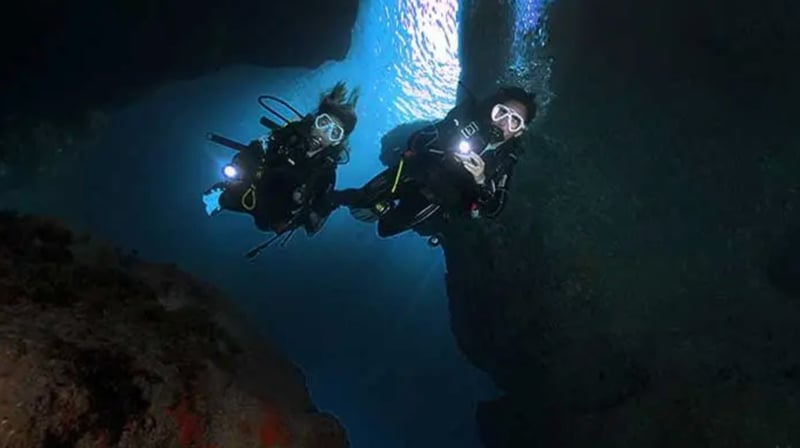 Guided Night Diving Adventure in Dibba Al Fujairah, photo 3
