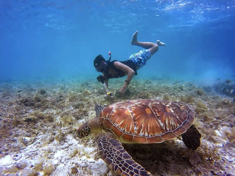 Snorkelling Trip in Dibba Al Fujairah (Morning or Afternoon), photo 3