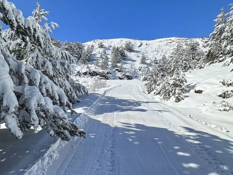 1.5-Hour Guided Snowmobile Circuit to the Rinconada de Piedrafita, photo 4