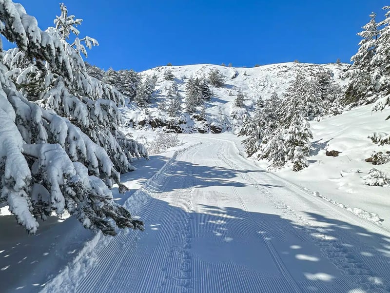 1-Hour Guided Snowmobile Tour in the Tena Valley, photo 2