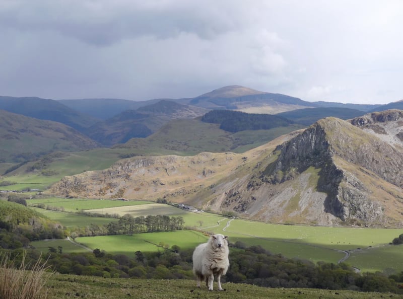 Tour of Cadair Idris Bikepacking Adventure, photo 2