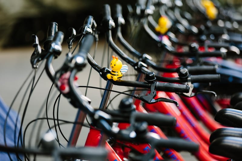 Berlin Bike Rental, photo 2