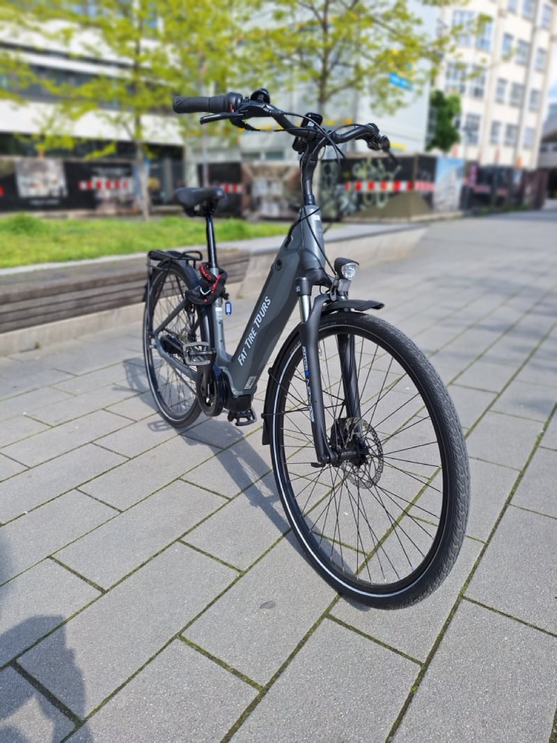 Berlin E-Bike Rental, photo 4
