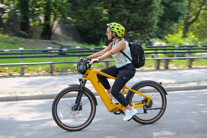 New York City eBike Rentals (2h, 4h or Full Day) gallery 5