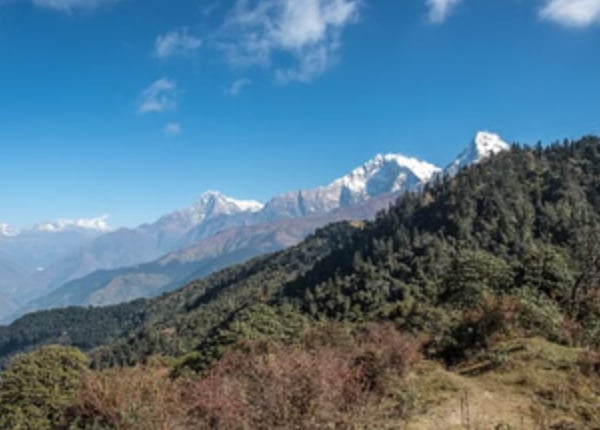 Mohare Danda Community Trek – Eco Lodges & Annapurna Views, photo 5