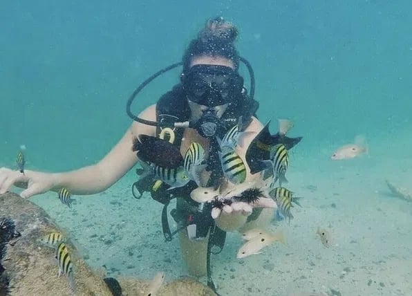 Try Scuba Diving in Dubai with Skyline Views, photo 5