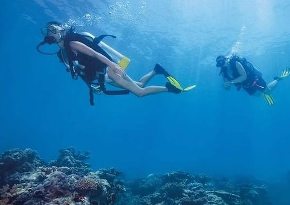 Beginner Scuba Diving Tour in Kuşadası Bays, photo 3