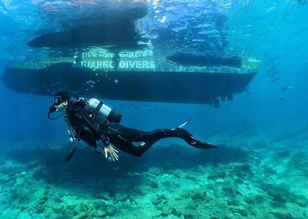 Beginner Scuba Diving Tour in Kuşadası Bays, photo 2