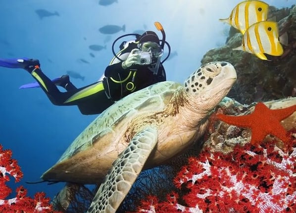 Beginner Scuba Diving Tour in Kuşadası Bays, photo 5