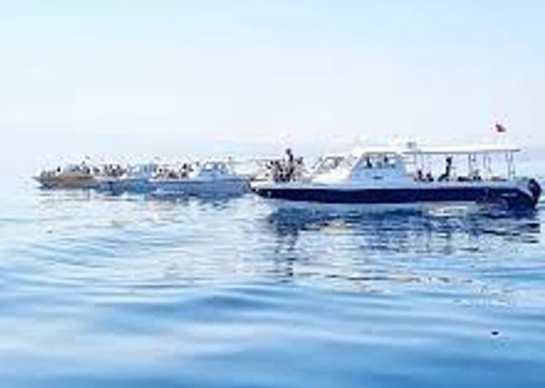 Dolphin Watching & Snorkelling Boat Trip from Muscat, photo 4