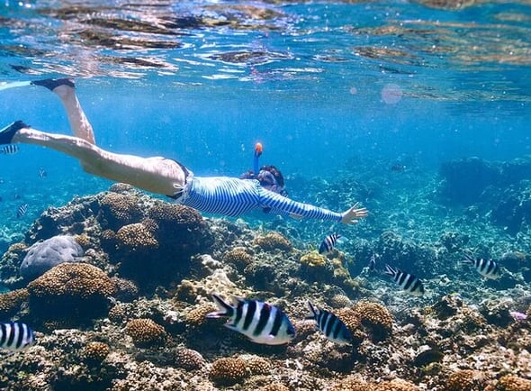 Ras Mohammed National Park Snorkelling Boat Trip with White Island, photo 5