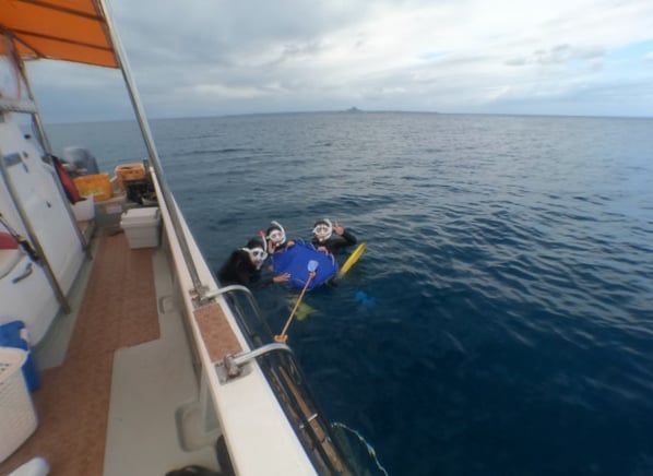 Okinawa Boat Snorkelling – Two Guided Rounds at Minna, Sesoko or Motobu, photo 4