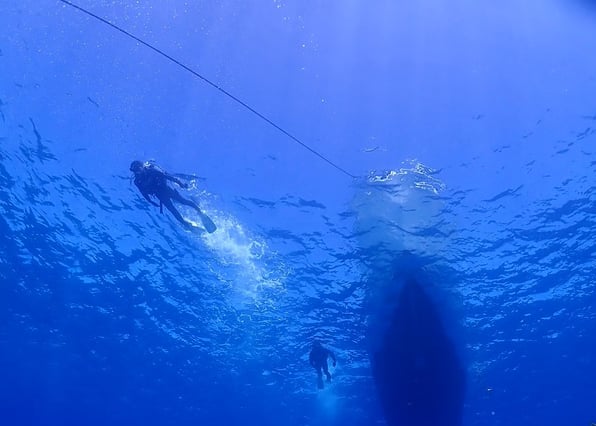 Okinawa Boat Fun Diving – Private Dives at Minna, Sesoko or Motobu for Certified Divers, photo 3