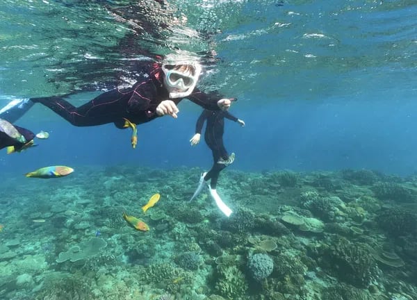 Okinawa Boat Snorkelling – Private Afternoon Session at Minna, Sesoko or Motobu, photo 3