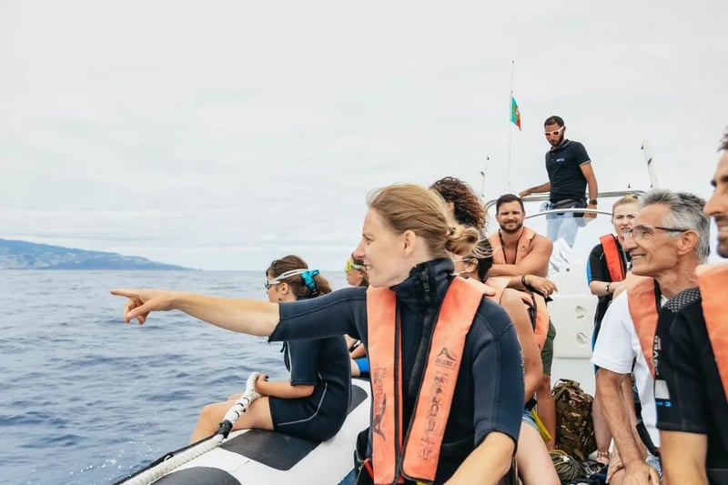 Whale & Dolphin Watching Speedboat Tour from Funchal gallery 2