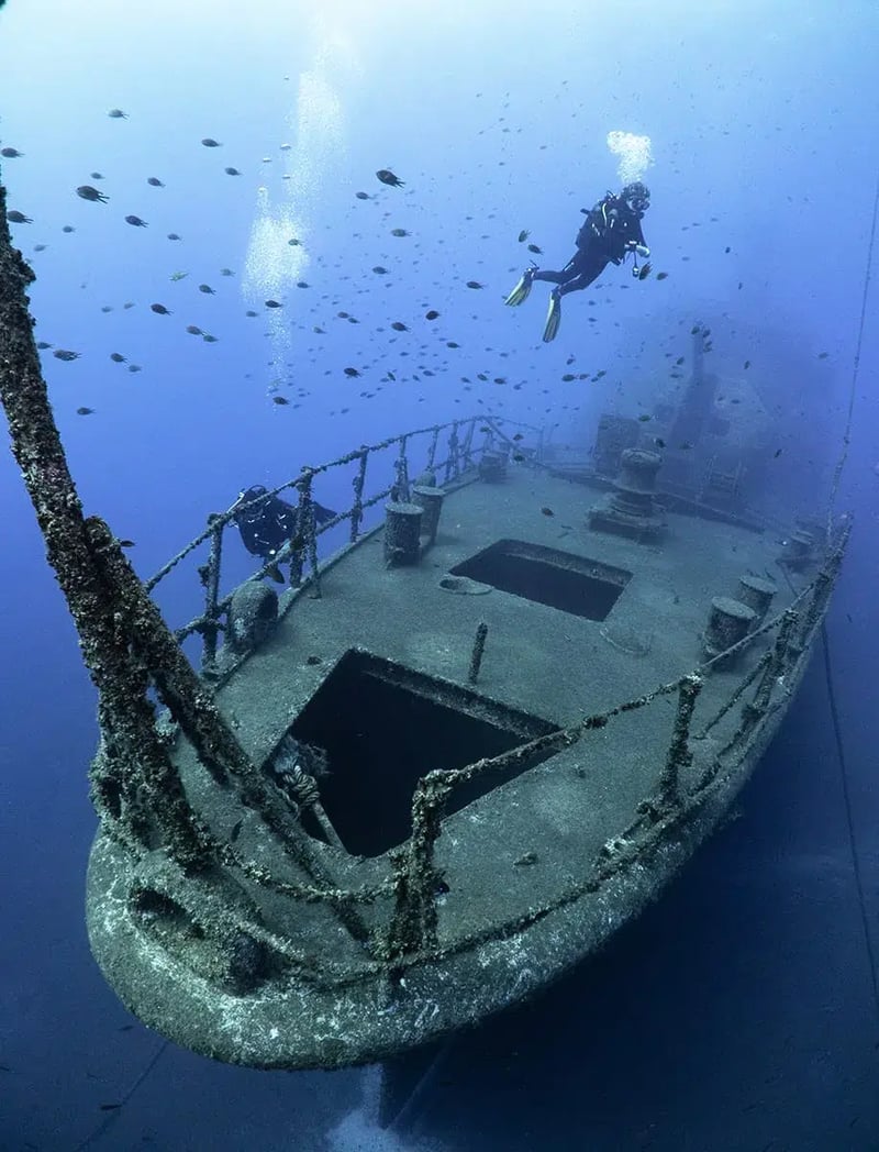 Corveta Afonso Cerqueira Wreck Dive (Boat Dive from Funchal), photo 3