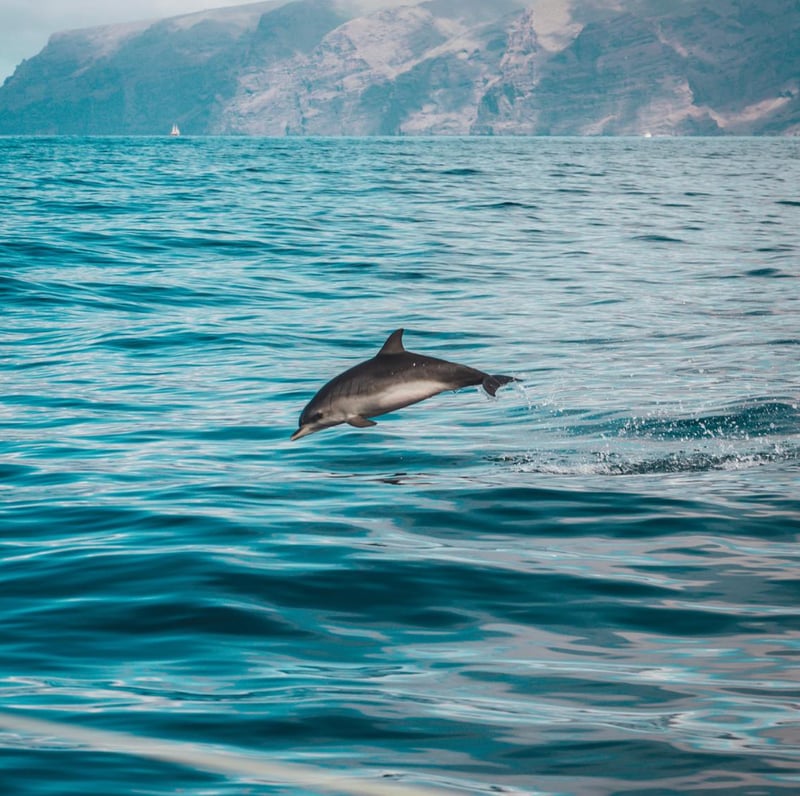 Private Capri to Positano Boat Trip, photo 2