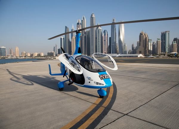 Private Gyrocopter Flight Over The Palm, photo 4