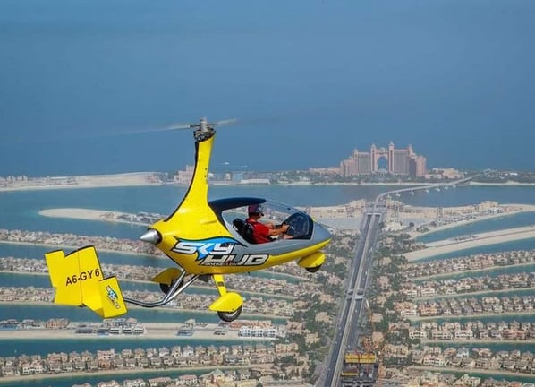 Private Gyrocopter Flight Over The Palm, photo 3