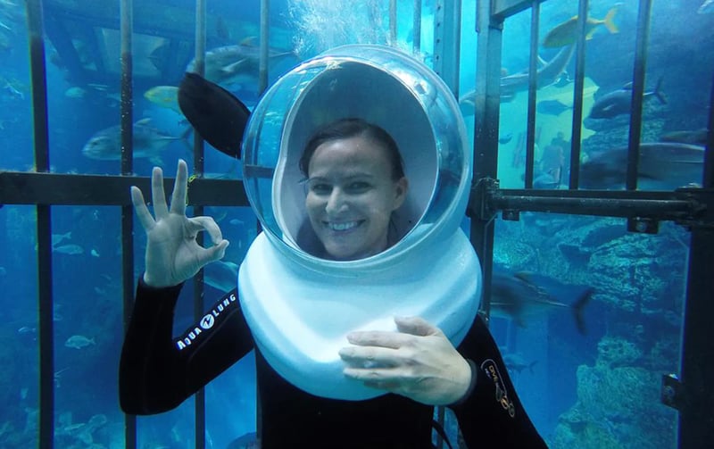 Shark Walker Experience at Dubai Aquarium, photo 4