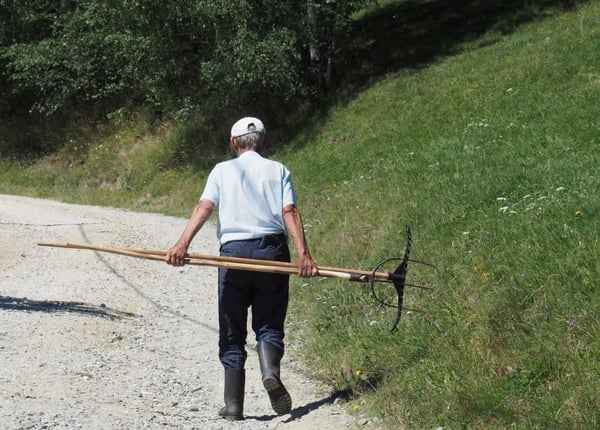 2-Day Piatra Craiului National Park Hiking Trek from Brașov, photo 5