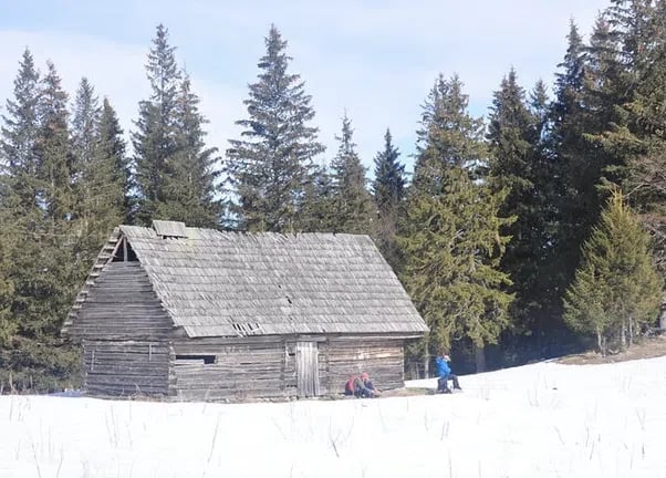 Wild Carpathian Photo Hiking Tour from Brașov (Private Day Hike), photo 3