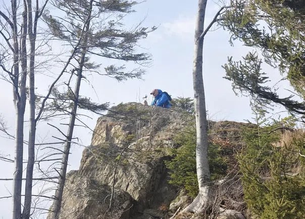 Wild Carpathian Photo Hiking Tour from Brașov (Private Day Hike), photo 2